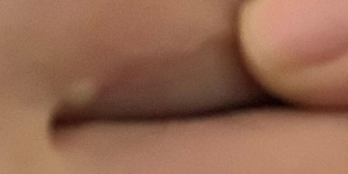 202104011235551223709982.jpg